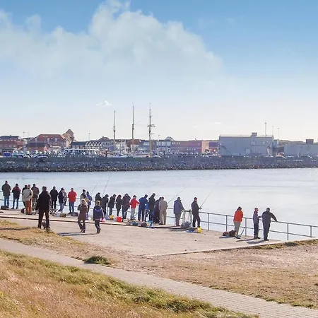 Hvide Sande 1146 *
